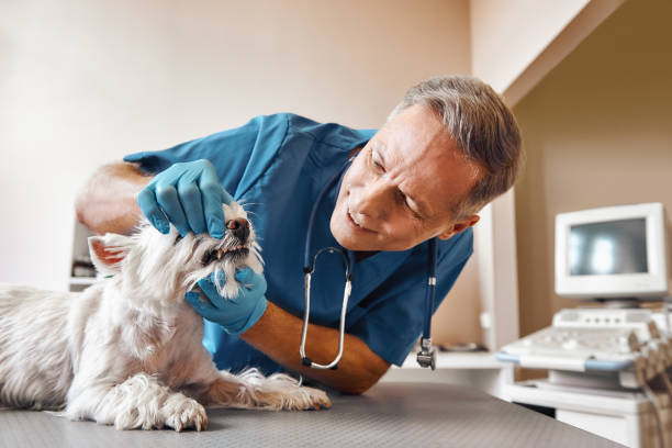 Best Emergency Dental Extractions in Eudora, AR