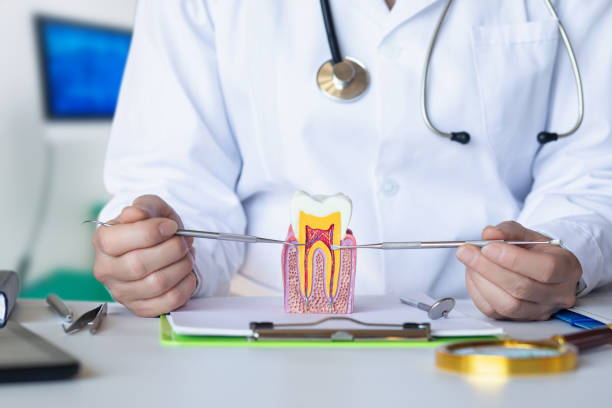 Best Emergency Dental Services for Seniors in Eudora, AR